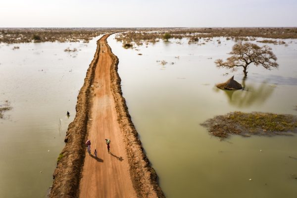 Cifras alarmantes: hay más de 120 millones de desplazados forzosos en el mundo